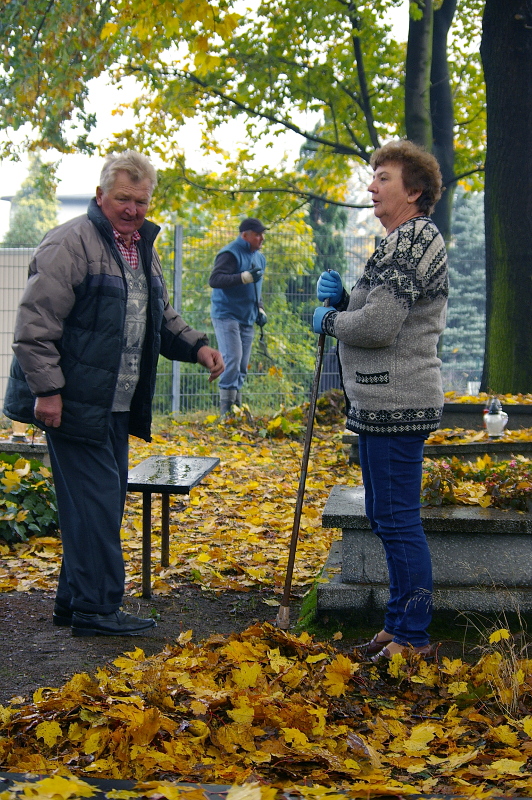 Porządkowanie cmentarza