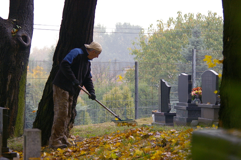 Porządkowanie cmentarza