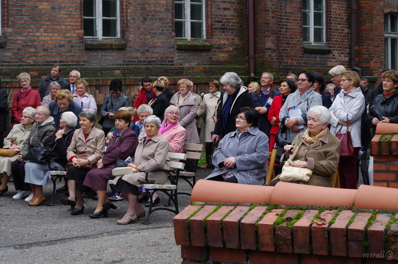 Nowe funkcje na stronie