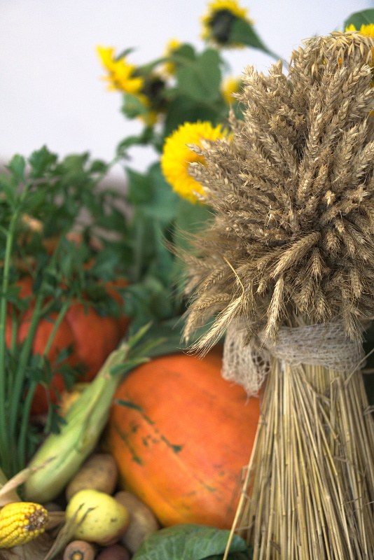 Dziękczynne Święto Żniw