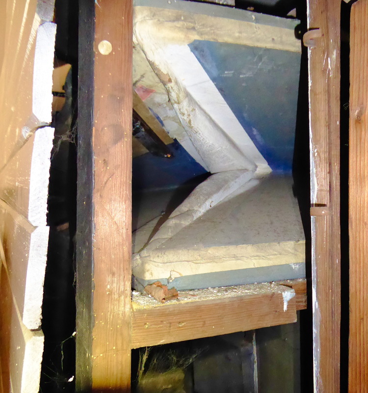 RATUJMY NASZE ORGANY