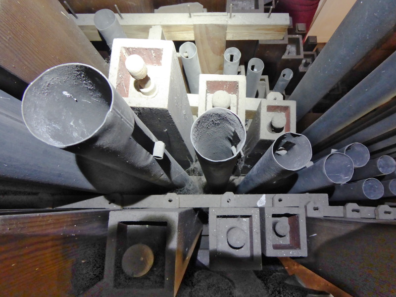 RATUJMY NASZE ORGANY