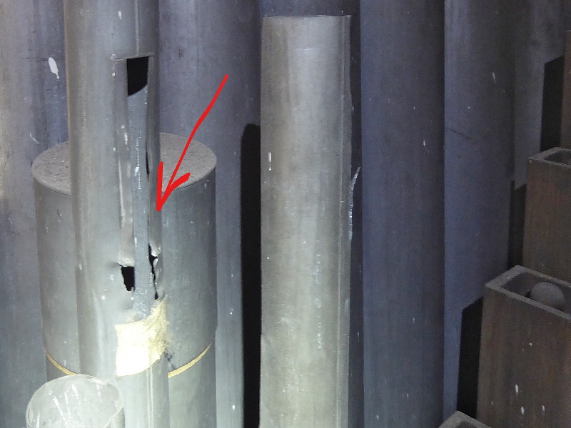 RATUJMY NASZE ORGANY