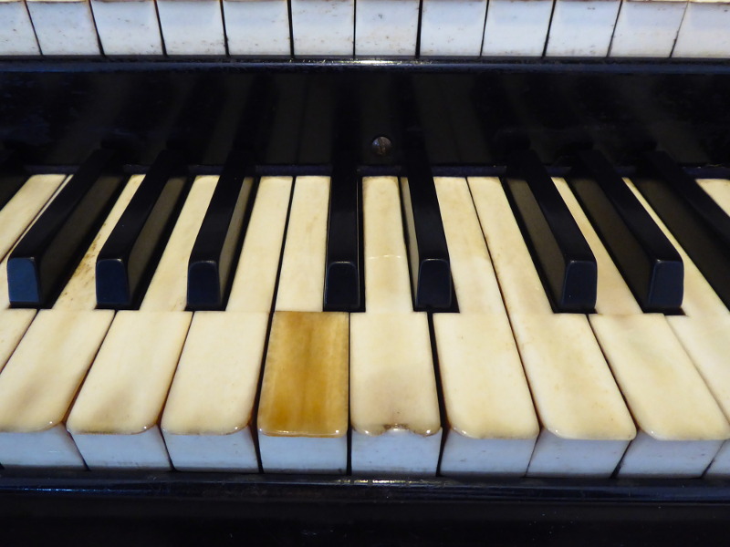 RATUJMY NASZE ORGANY