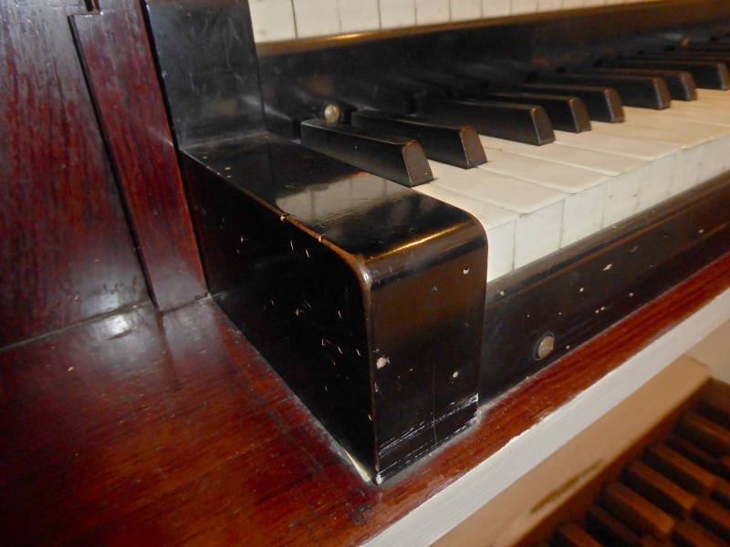 RATUJMY NASZE ORGANY