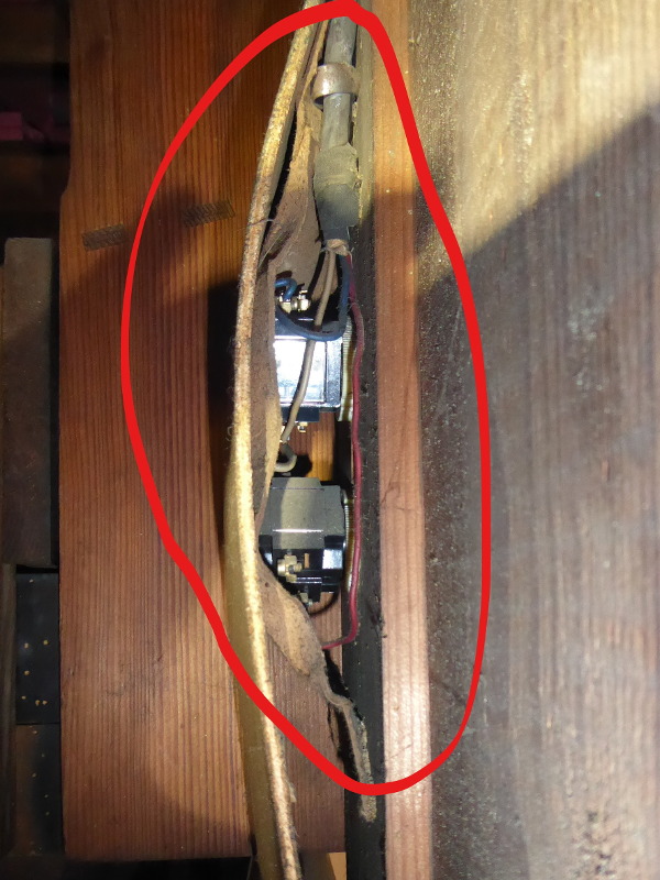 RATUJMY NASZE ORGANY