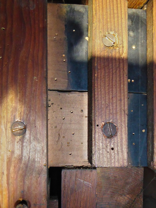 RATUJMY NASZE ORGANY