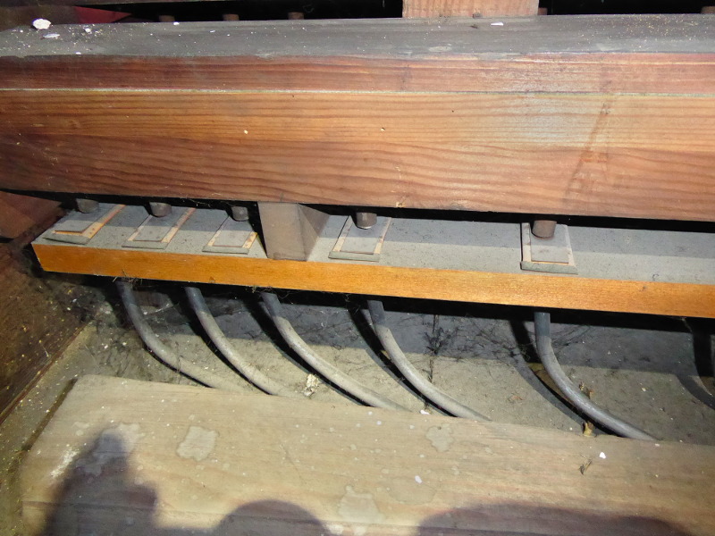 RATUJMY NASZE ORGANY