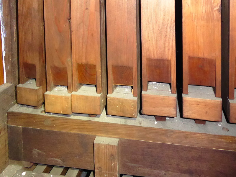 RATUJMY NASZE ORGANY