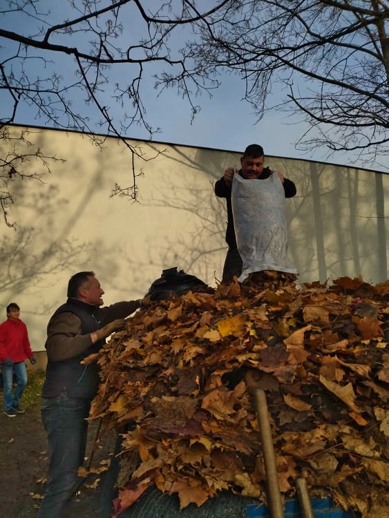 PODZIĘKOWANIE ZA GRABIENIE LIŚCI