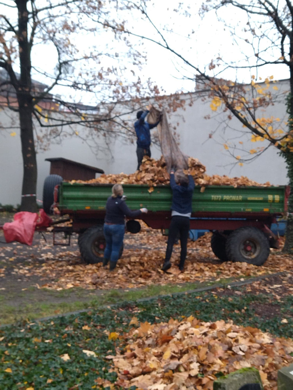PODZIĘKOWANIE ZA UPRZĄTNIĘCIE LIŚCI